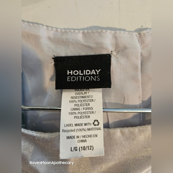 Hoilday Editions Girls Sliver Dress large 10/12 - Picture 7 of 14